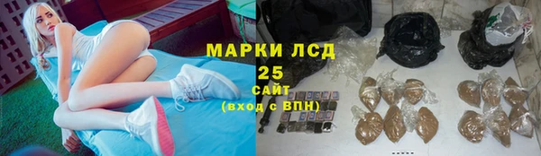 гидра Зерноград