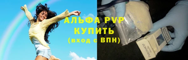 мяу мяу мука Инта