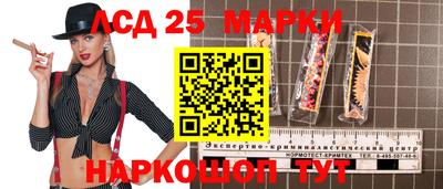 spice Абакан