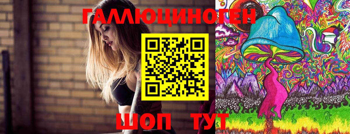 Ангарск  купить наркотик  Вход с VPN  Псилоцибиновые грибы Psilocybe 