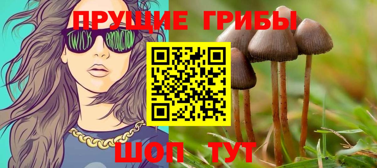 Псилоцибиновые грибы мухоморы  Вход с VPN  Ангарск  Галлюциногенные грибы мухоморы 